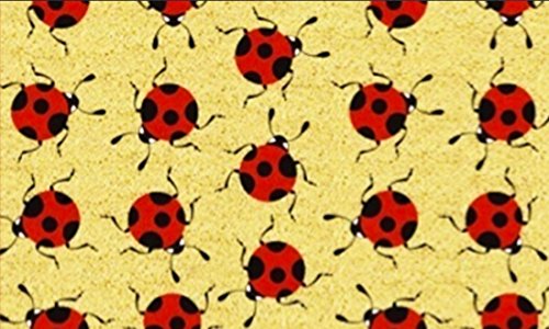 Gift Company Felpudo Mariquitas, Coco y PVC, Multicolor, 75 x 1.5 x 45 cm