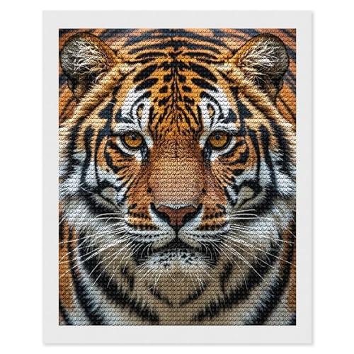 Peinture diamant tigre FodPand 40x50 cm kit complet adultes avec strass ronds 5D