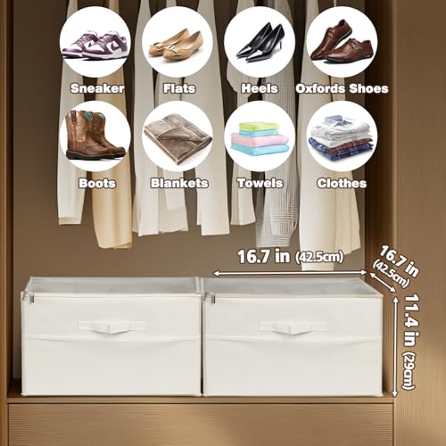 EDS FAM 2Pack Shoe Storage Organizer for Closet, Large Shoe Box Storage Containers with Clear Cover, Foldable Shoe Storage Containers Baskets Boxes Bins
