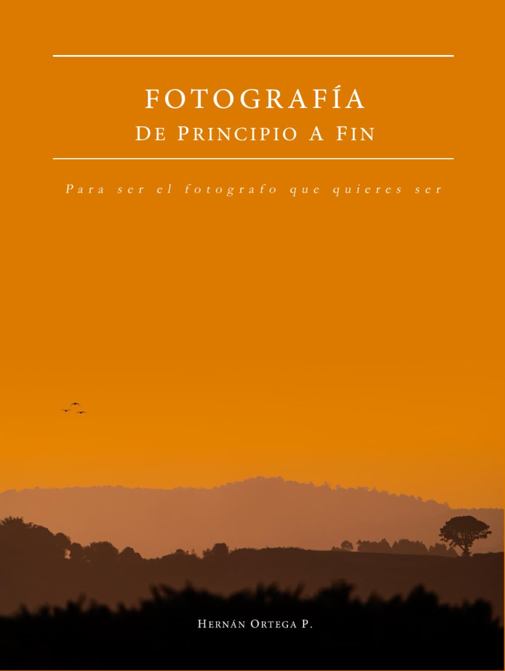 Fotografía - De principio a fin: Para ser el fotógrafo que quieres ser