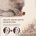 Catnip Silvervine Sticks for Cats | Silver Vine Chew Toy or Cat Chew Stick | Kitten Teething Toys | Cat Dental Chew with Cat Raffia Grass for Healthy Teeth & Digestion | Silvervine Cat Toy | 2 Sticks