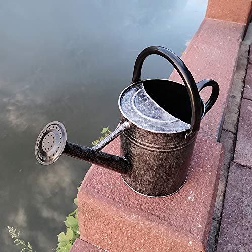 Oby5 Metal Watering Can 1 Gallon For Outdoor & Indoor Plants, Decorative Handcrafted Rustic Galvanized Steel Watering Pot With Threaded Rose And Flexible Upper Handle (Black Sketch) #TOP4