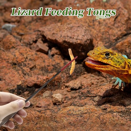Image of 10.63 inch L Aquarium Straight Feeding Tweezer for Feeding with Red Rubber Tip