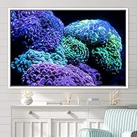 Framed Canvas Wall Art Deep Under Group Jellyfish Marine Life Multicolor Photography Realism Tropical Ultra Whimsical - 16x24 inches