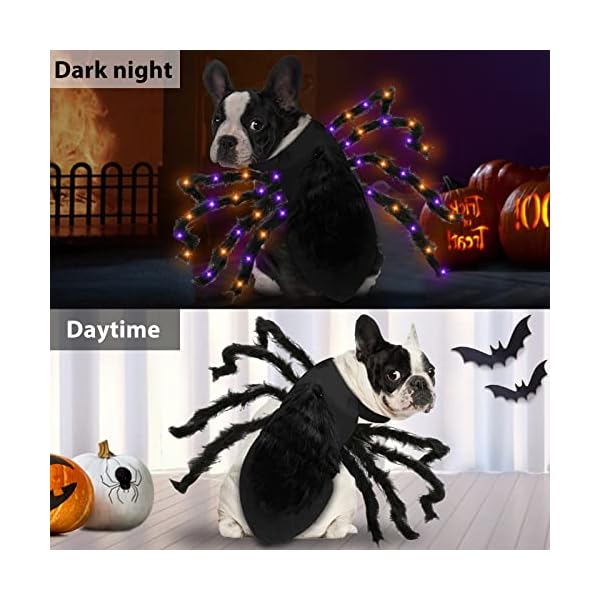 Camlinbo 24 led spider dog halloween costume for small medium large dogs, furry giant spider with orange purple lights puppy pet costume outfits clothes funny halloween costume party cosplay - image 5