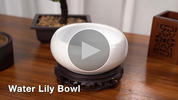 鉢・プランター invisible lnk BOWL CROSS BONE LARGE invisible lnk BOWL CROSS BONE LARGE