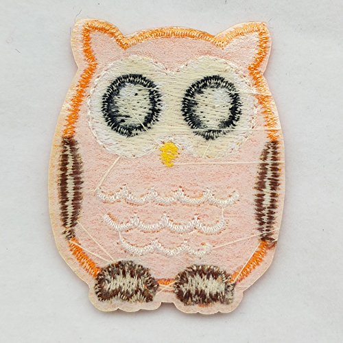 Dandan Diy Kid Embroidered Owl Patch Sew On/Iron On Patch Applique Clothes Dress Plant Hat Jeans Sewing Flowers Applique Diy Accessory (Owl) #TOP3