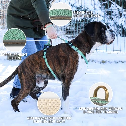 Pettsie No-Pull Hundegeschirr, reflektierend, 4 verstellbare Riemen, einfache Kontrolle mit 2 Leinenclips, passendes Freundschaftsarmband, weicher Hanf für empfindliche Haut, L, Türkis