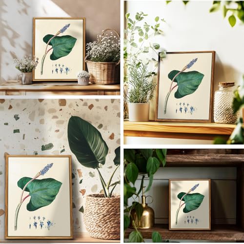 crmotu Botanical Framed Wall Art, Green Leaf Canvas Art Prints, Nature Plant Study Vintage Pictures, Minimalist Rustic Farmhouse Wall Decor, Bedroom Kitchen Desktop Bathroom Decorations, 9x11inch
