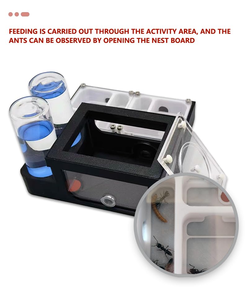 Generic Ant Nest 3D Printing Ant Farm Community Settings, Watching Ant Development - Image 6