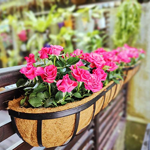 Maxona Fence Planters for Outdoor Plants - 2 Pack, 24 inch Large Window Flower Box, Metal Rail Basket with Coco Liner, Wall Mounted Railings Hanging Balcony Garden Deck Porch Patio Pot Attach to House