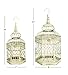 Deco 79 Metal Scroll Birdcage Distressed Wire with Latch Lock Closure and Hanging Hook, Set of 2 21