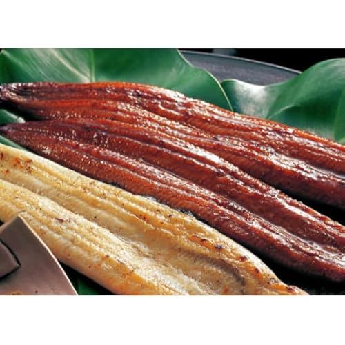 [順次配送開始/定期便2回] うなぎ 蒲焼き 白焼き 食べ比べセット 計800g (200g×各1尾×2回)