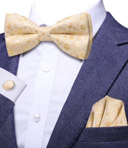 Image of Dubulle Mens Paisley Striped Bowtie Set Pre-tied Bowtie for Men and Pocket Square Set Wedding Business