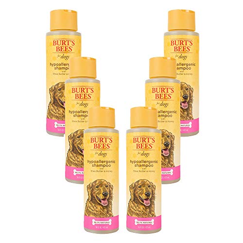Burt's Bees Natural Hypoallergenic Dog Shampoo|With Shea Butter & Honey|Cruelty Free, Sulfate & Paraben Free, pH Balanced for Dogs - Made in the USA (pack of 6) Burt's Bees Natural Hypoallergenic Dog Shampoo|With Shea Butter & Honey|Cruelty Free, Sulfate & Paraben Free, pH Balanced for Dogs - Made in the USA (pack of 6)