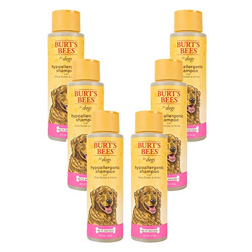 Burt's Bees for Dogs Hypoallergenic Dog Shampoo with Shea Butter & Honey | Dog Shampoo for Sensitive Skin | Cruelty Free, Sulfate & Paraben Free, pH Balanced for Dogs - 16 oz, 6 Pack