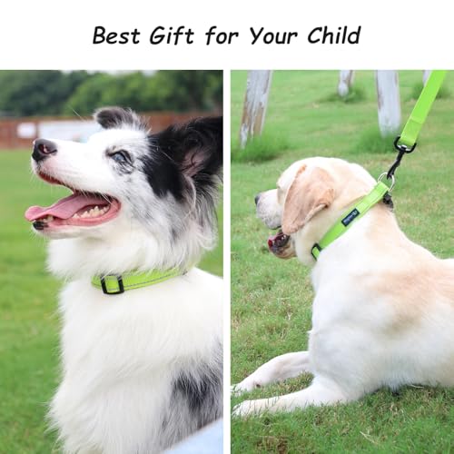 Collar reflectante para perros con hebilla ajustable S verde neón miniatura 3