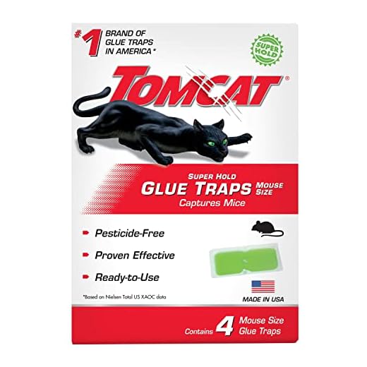 Tomcat Super Hold Glue Traps Mouse Size for Mice, Cockroaches, Spiders, and Scorpions, Ready-To-Use, 4 Traps