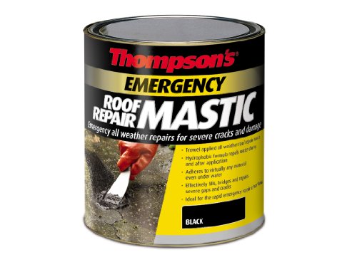 Ronseal TERRM750 - Mastice Thompson per