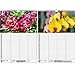 Wall Planner Family Planner 4 Columns - Orchid Magic DIN A3 Calendar for 2022 Orchids and Flowers