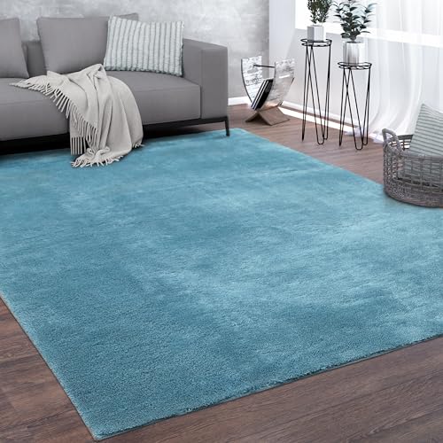 Paco Home Tapis De Salon Tapis Poils Ras Lavable Design Monochrom...