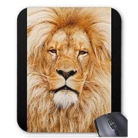 ジョンヒョン 写真集 写真、マウスパッド ジョンヒョン 写真集 写真、マウスパッド