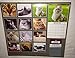 2016 Wall Calendar & Mini Calendar - Cats & Kittens