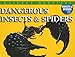 Dangerous Insects & Spiders: Dangerous Insects And Spiders (Nature's Monsters: Insects & Spiders)