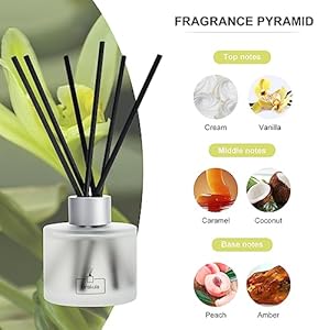 Brakula reed diffuser black vanilla scented home fragrance bathroom diffuser with 16 reed sticks essential oil diffuser for living room guest rooms 34oz100ml x 2  urban country home decor