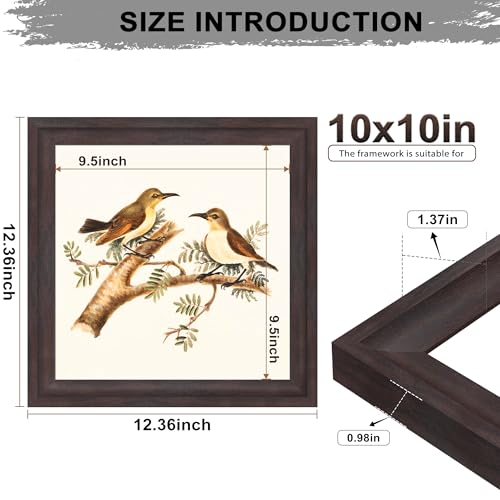 Image of 10x10 Picture Frame Walnut Brown with Black Backboard, 1.37 Inch Curved Extra Wide Edges MDF Material, Rustic Style Picture Frame 10x10 inches for Wall