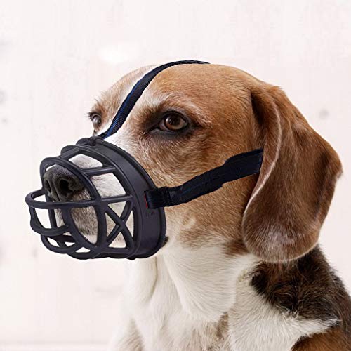 Top 10 Best Muzzles for Chihuahuas Exqeo