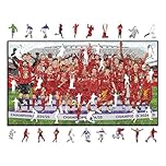 Iconic Puzzles - Liverpool, Premier League Champions 24/25, Officially Licensed Wooden Puzzle, 100% Sustainable, Size M, 270 Pieces