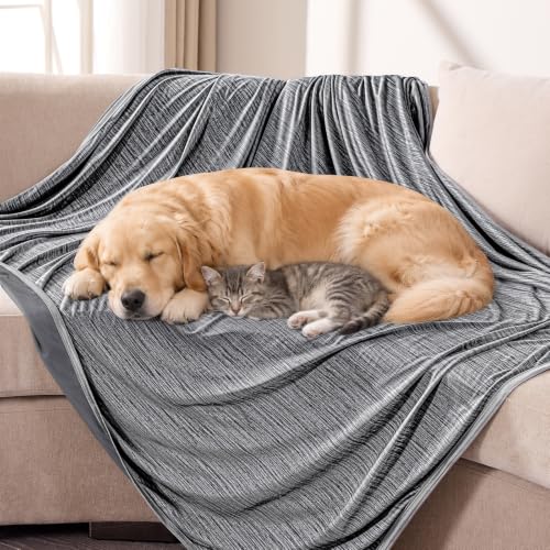 Image of KMUSET Cooling Blanket Twin (60 inchx80 inch), College Dorm Essentials for Girls Guys,Summer Cold Blankets for Hot Sleepers & Night Sweats, Cool Lightweight Breathable Blanket for Twin Size Bed Light Grey
