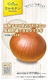 タキイ種苗 ケルセチンリッチ たまねぎ ケルたま