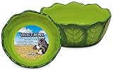 kaytee vege t bowl cabbage 6 inches green