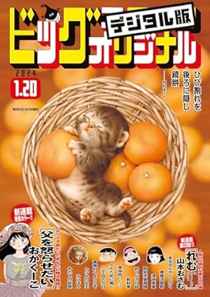 ビッグコミックスペリオール 2024年8号（2024年3月22日発売） [雑誌