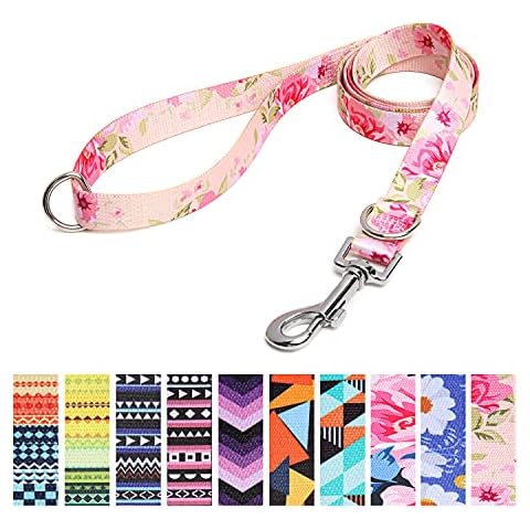Suredoo Soft Nylon Dog Lead Leash with Colorful Patterns, Comfortable Strong Dog Training Walking Lead Leashes with 2 D-ring for Small Medium Large Dogs, 1.2m × 2.0cm (Rose) Cover