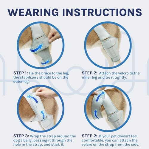Image of Dog Knee Brace for Torn ACL & Hind Leg Support - Adjustable Dog Hip & Leg Brace for Cruciate Ligament, Arthritis Relief, Joint Stability & Injury Recovery, Color: Grey, Size: M