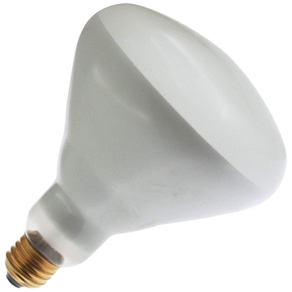 Floodlight 65BR40/FL, 130 Volt, E26 Base, BR40 Indoor 60-Degree Flood Light Bulb (4 Pack)