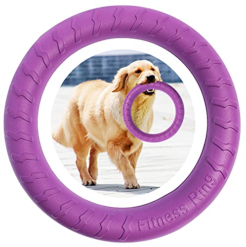 Hunde-Fitness-Ring Hundebiss-Ring Hunde-Trainingsring, Haustier Hund Outdoor-Spiel Agility Trainingsgeräte, Tauziehen Interaktiver Trainingsring für Kleine mittelgroße Große Hunde (Lila, 30CM) Cover