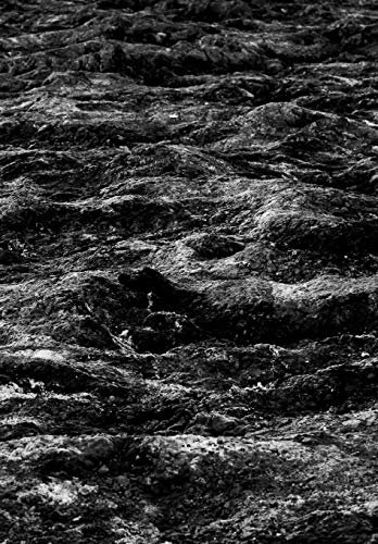 Desert Made in Chile: Photographs By Raimundo Lagos