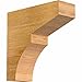 Ekena Millwork RFT04X12X12MON00RWR Monterey Rough Sawn Rustic Wood Rafter Tails