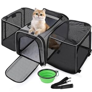 pecute Dog Bag Foldable Dog Box Car with Breathable Mesh Fabric Cat Transport Box for Cat Dog Transport Box for Travel Dog Carrier for Cats Puppies Under 6 kg