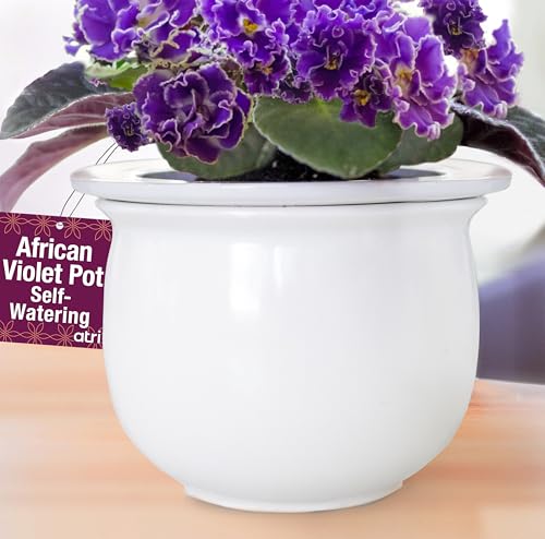 African Violet Pots Self Watering – 6.5”W x...
