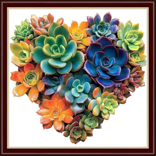 Image of Dimensean Stamped Cross Stitch Kits Full Range of Embroidery Patterns Starter Kits for Beginners Adult DIY Cross Stitches Needlepoint Kits 11CT-Love Succulent Plants 18x18 inch