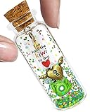 Romantic Love Message in Bottle Present You Hold Key to My Heart Cute Kiwi Anniversary Decorative Wish Jar Valentines Birthday Christmas Gifts Decorations for Boyfriend Husband Him Her Wife Girlfriend