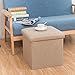 WoneNice Foldable Storage Ottoman Footrest, 16
