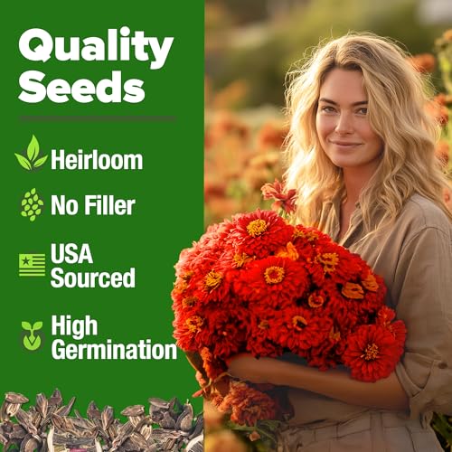 Image of HOME GROWN Will Rogers Zinnia Seeds - 150 Zinnia Flower Seeds for Planting Outdoors - Tall Zinnia Elegans Cut Flowers - Heirloom Non-GMO Zinnia Seeds for 2026