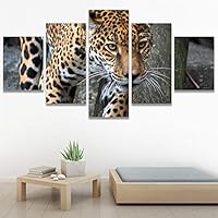 SIGNWIN 5 Panel Canvas Wall Art Animals Cheetah Closeup Contemporary Expressive Modern Artwork for Home Decorations Ready to Hang - 60