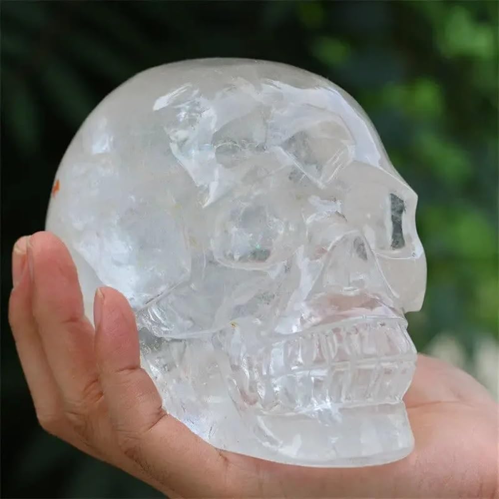 AUOQKQUT Transparent White Skull Hand-Carved with Quartz Crystal Home Decor(550-650)